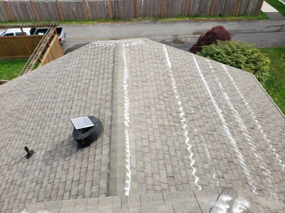 Slide of ProCleaning Seattle