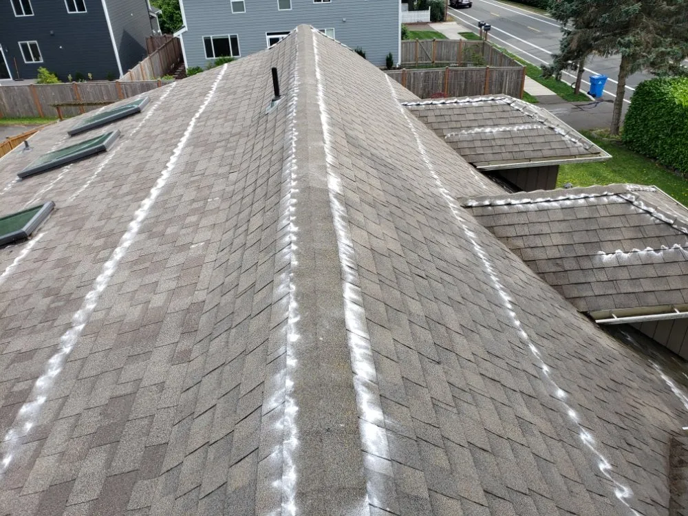 Slide of ProCleaning Seattle