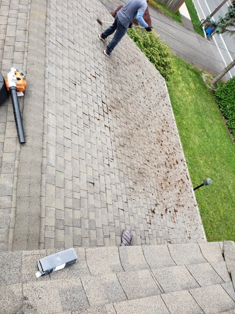 Slide of ProCleaning Seattle