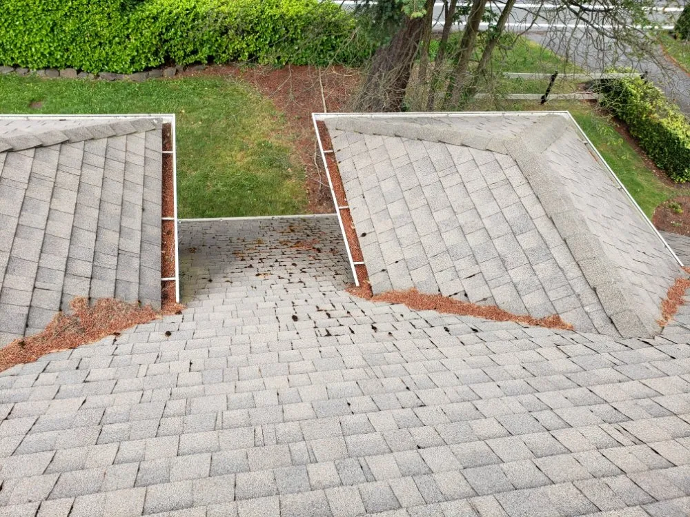 Slide of ProCleaning Seattle