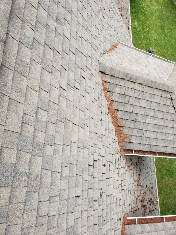 Slide of ProCleaning Seattle