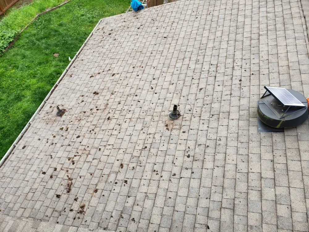 Slide of ProCleaning Seattle