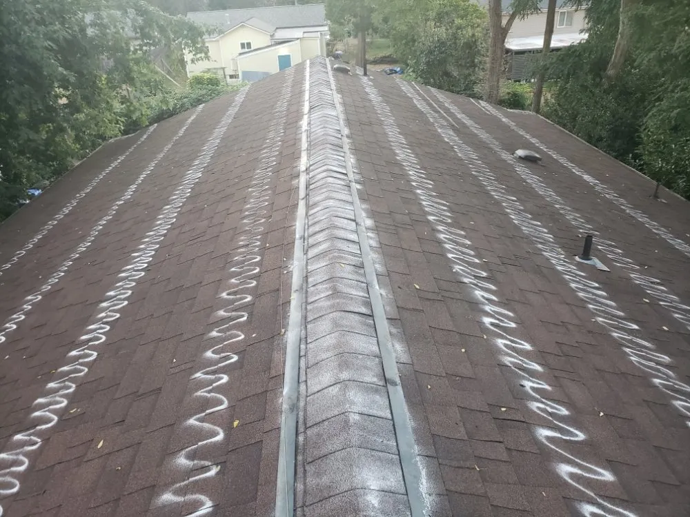 Slide of ProCleaning Seattle