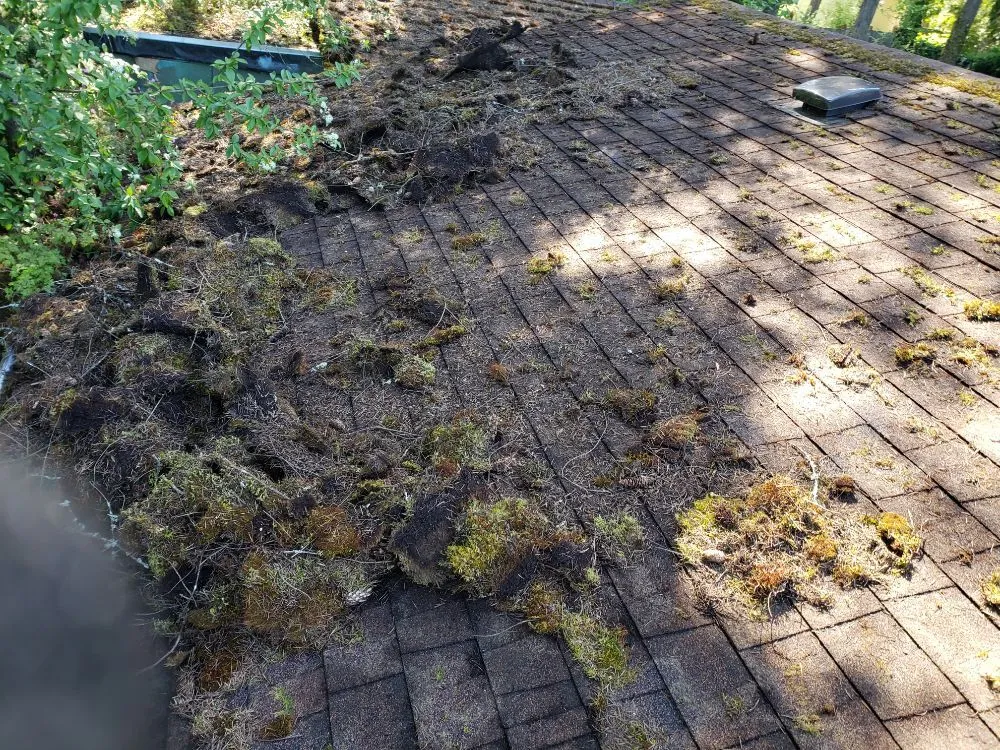 Slide of ProCleaning Seattle