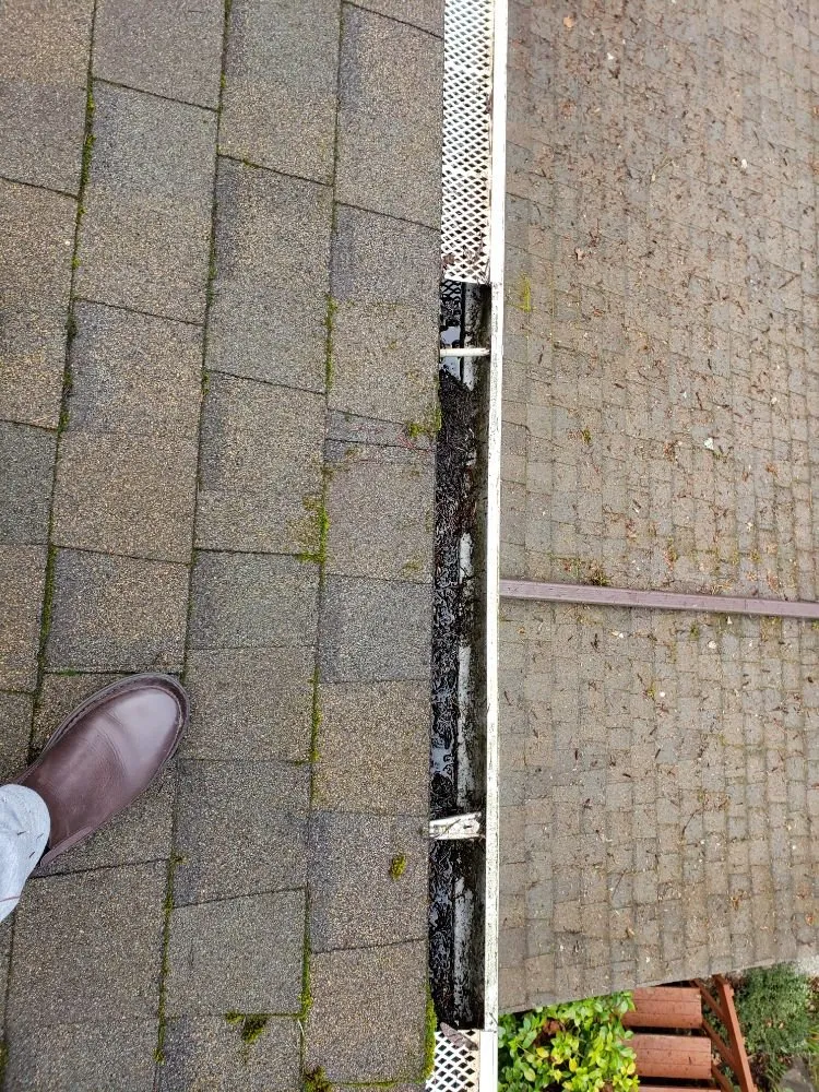 Slide of ProCleaning Seattle