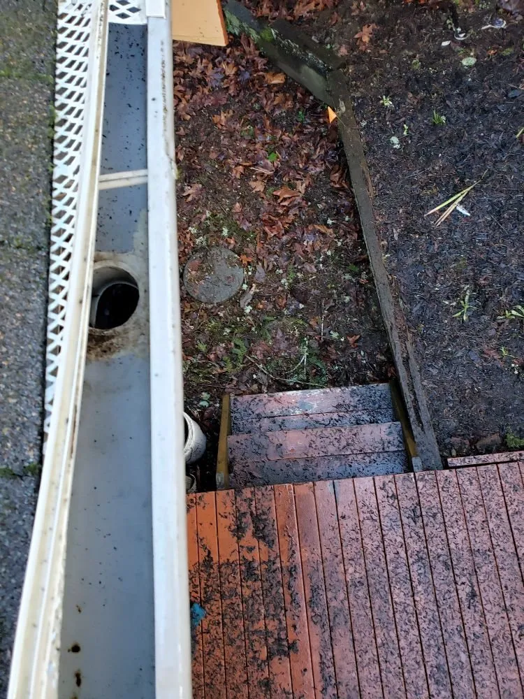 Slide of ProCleaning Seattle