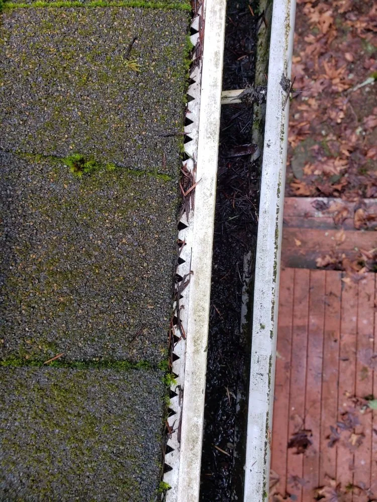 Slide of ProCleaning Seattle