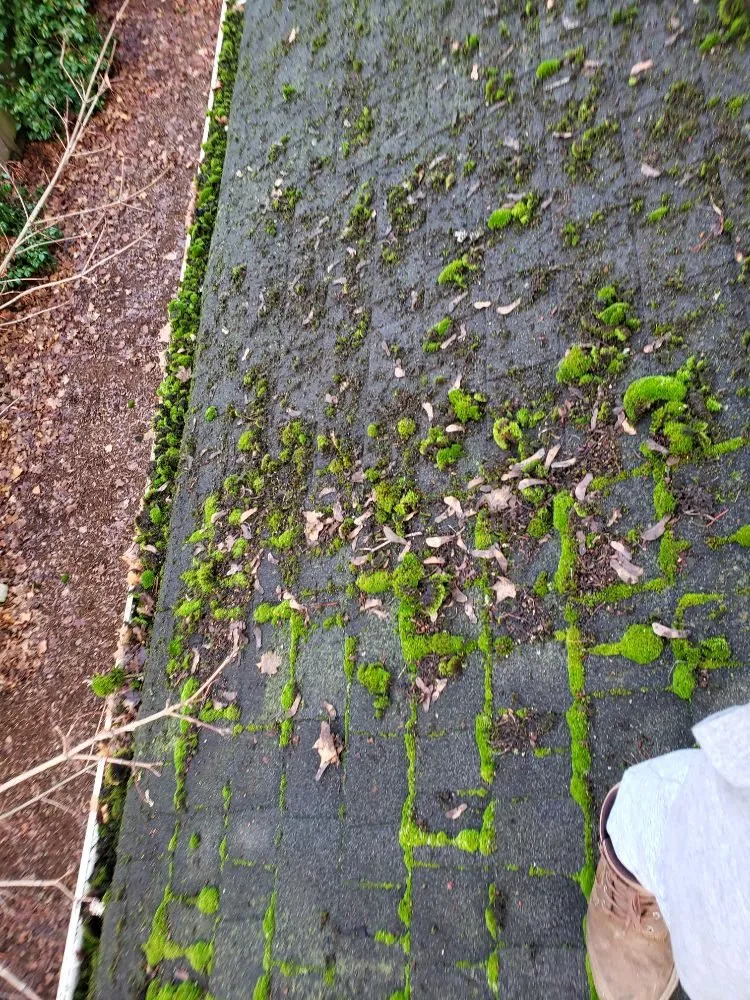 Slide of ProCleaning Seattle