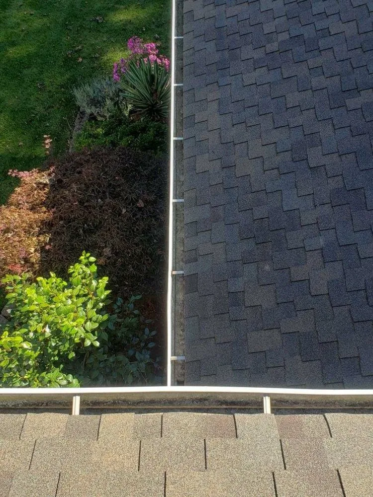 Slide of ProCleaning Seattle