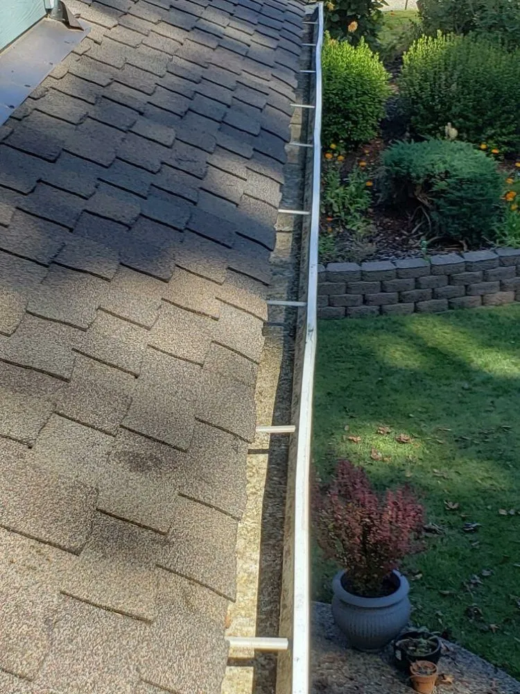 Slide of ProCleaning Seattle