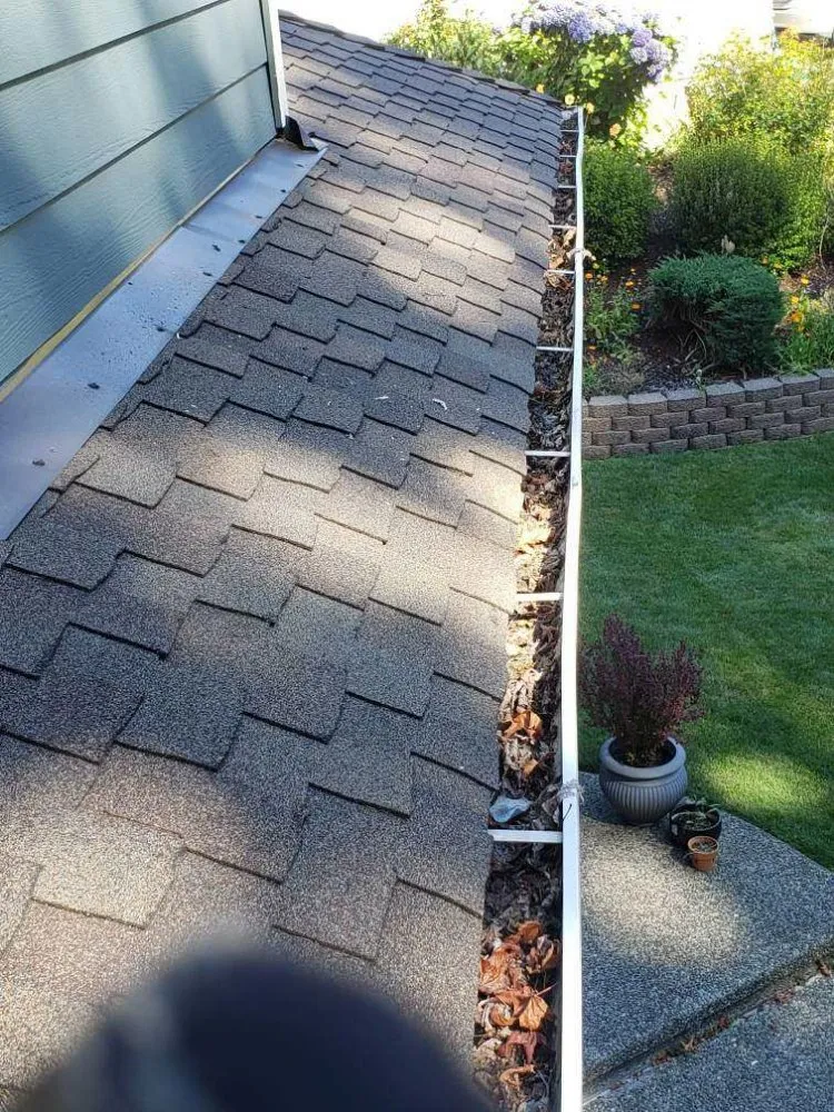 Slide of ProCleaning Seattle