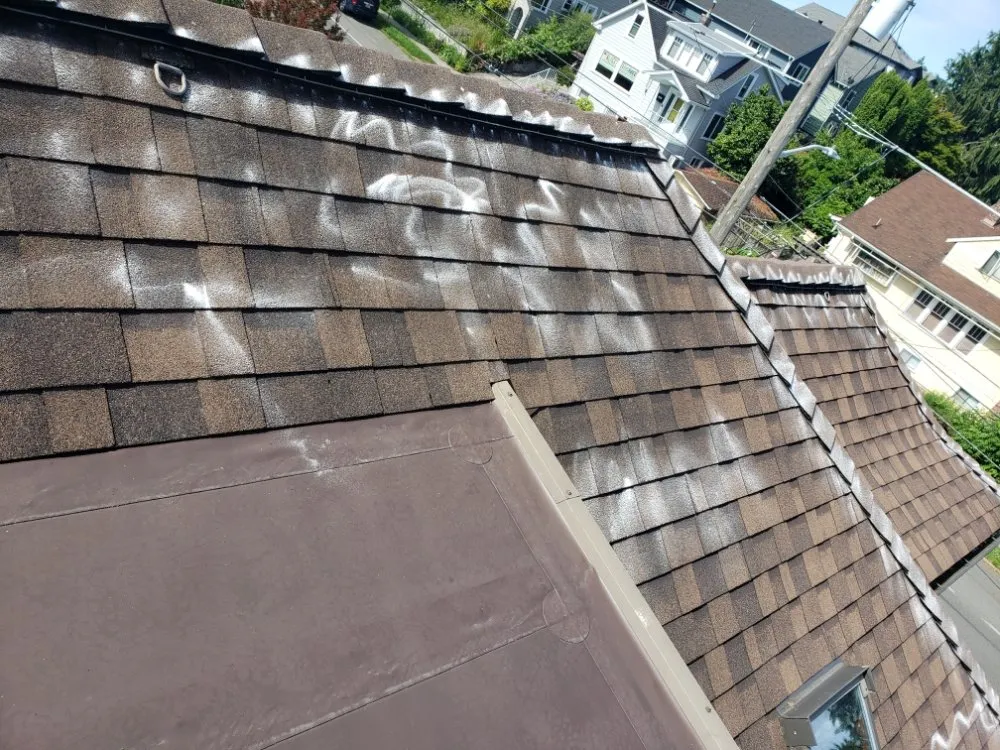 Slide of ProCleaning Seattle