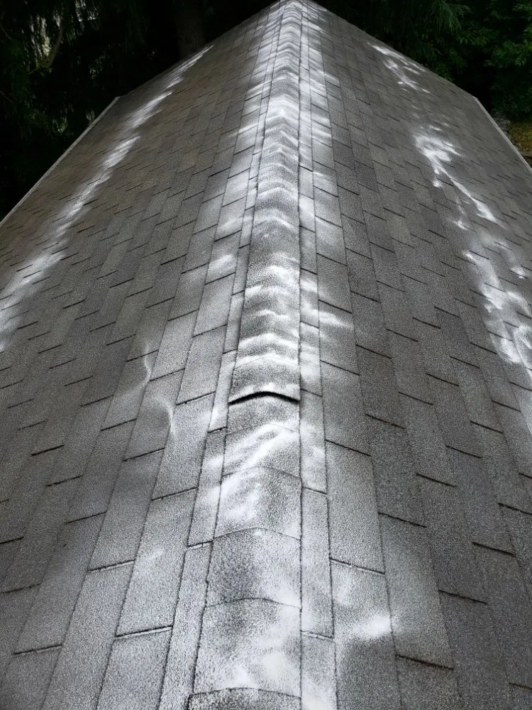 Slide of ProCleaning Seattle