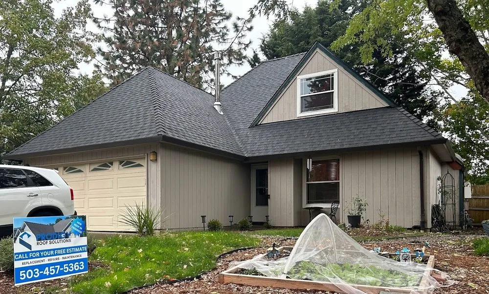 Slide of Prodigy Roof Solutions