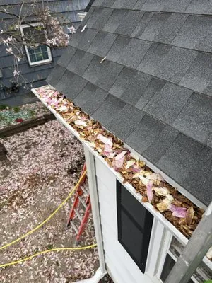 Profaster Services Logo