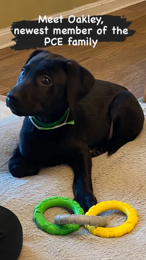 Slide of Professional Cleaners Exteriors