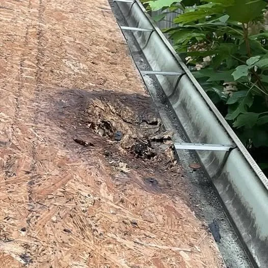 Slide of Professional Construction Services