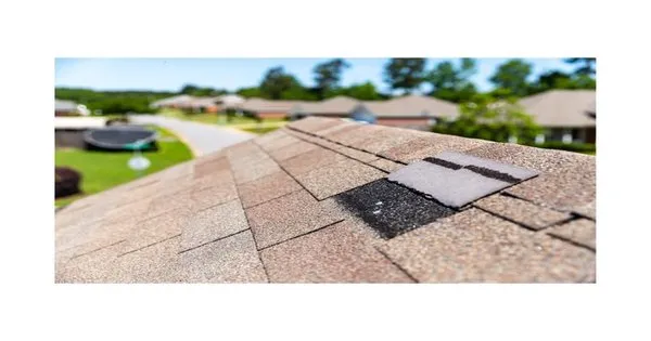 Professional Construction Services