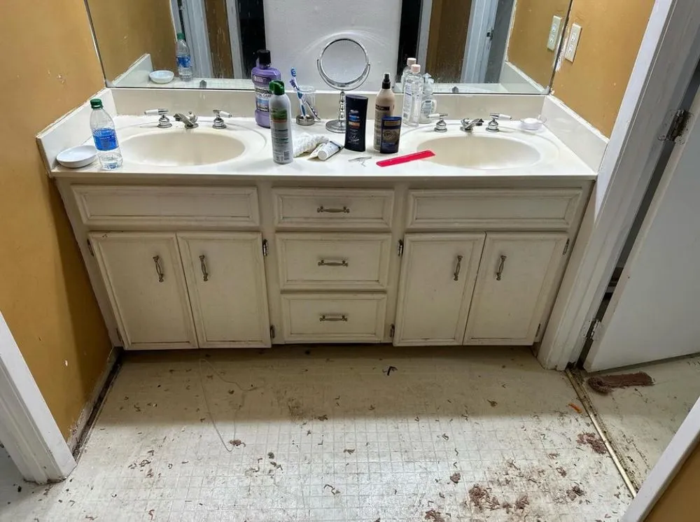 Slide of Professional Grade Renovations