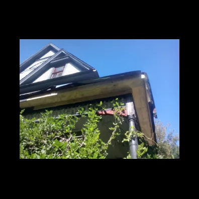 Top-rated roof replacement experts serving Maylene, AL - Professional Painting And Restoration