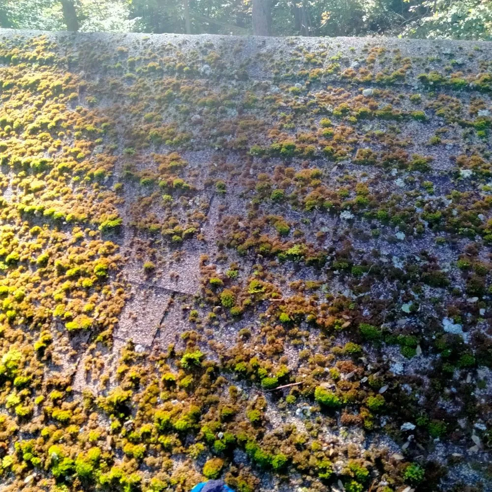 Slide of Professional Power Washing