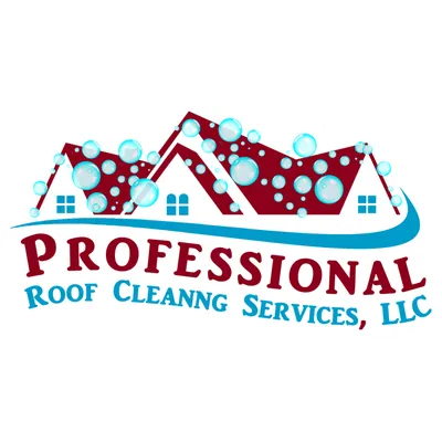 Professional Roof Cleaning Services
