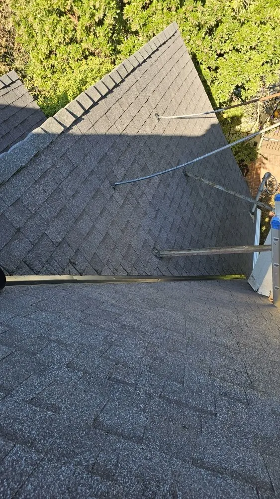 Slide of Professional Roofers