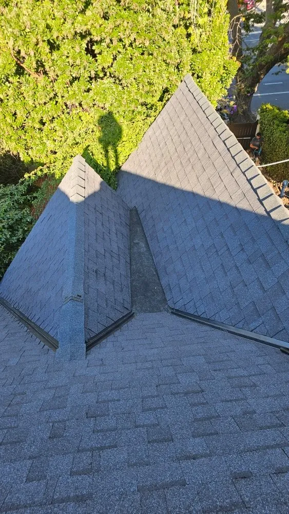 Slide of Professional Roofers