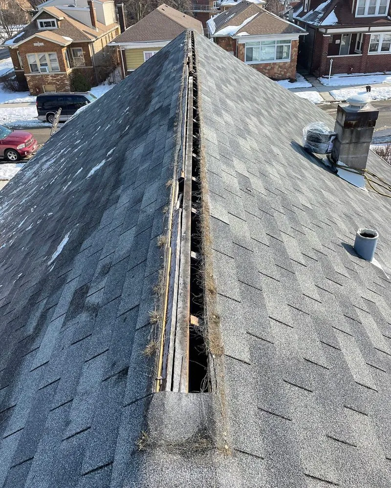 Slide of Professional Roofing