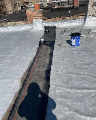 Professional Roofing Logo