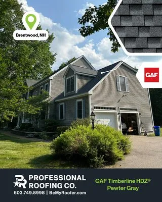 Professional Roofing
