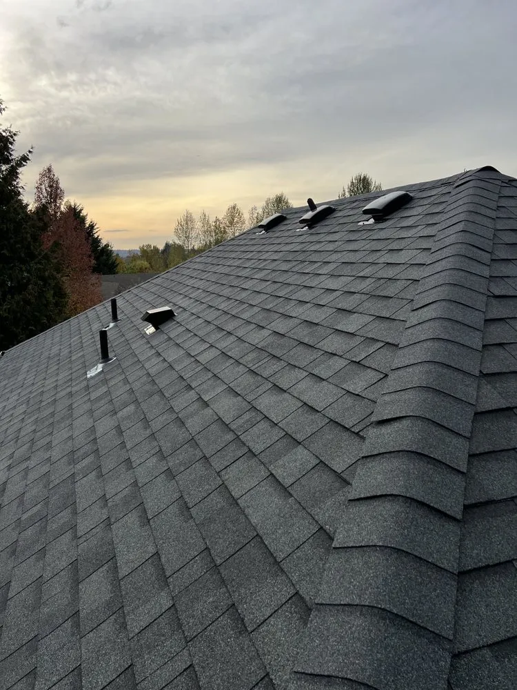Slide of Professional Roofing