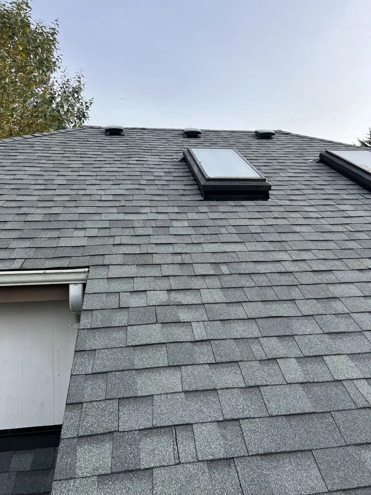 Slide of Professional Roofing