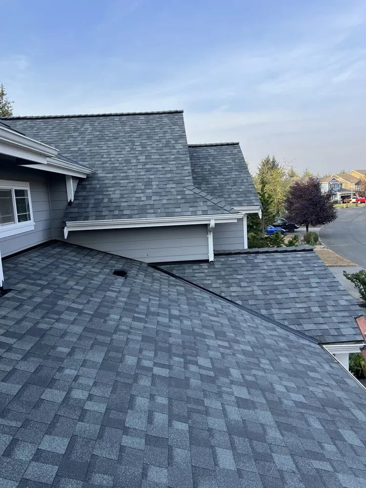 Slide of Professional Roofing