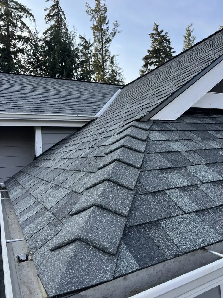 Slide of Professional Roofing
