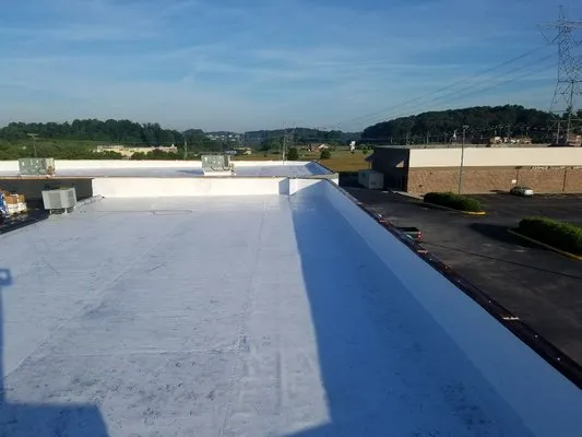 Professional Roofing