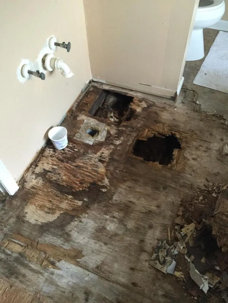 Slide of Professional Services