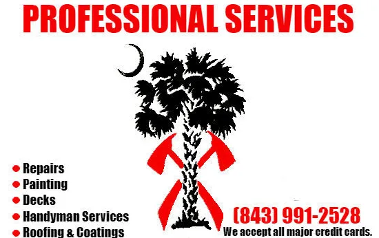 Slide of Professional Services