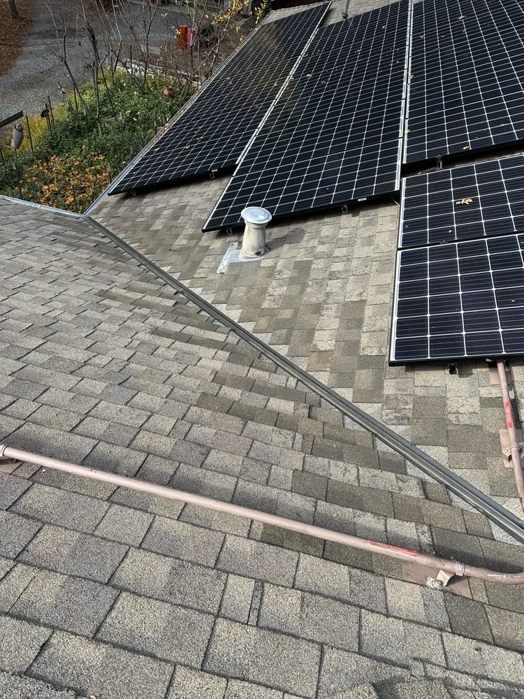 Slide of Professional's Roofing