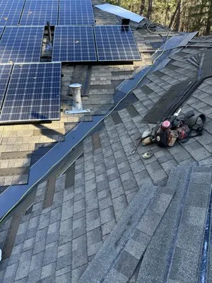 Professional's Roofing