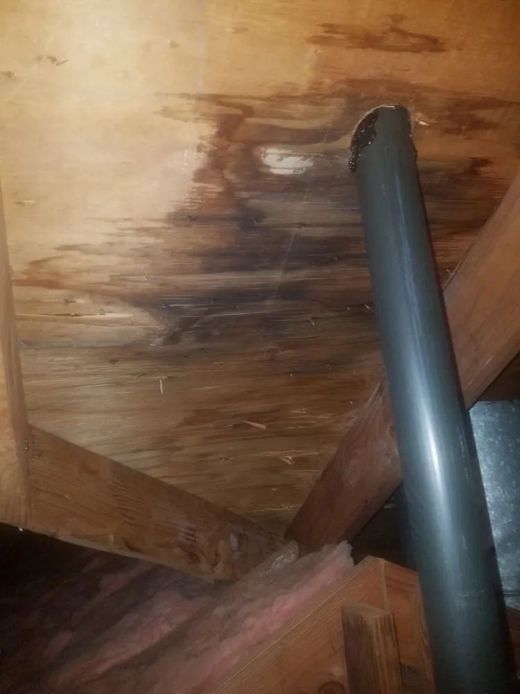 Slide of Progress Repair