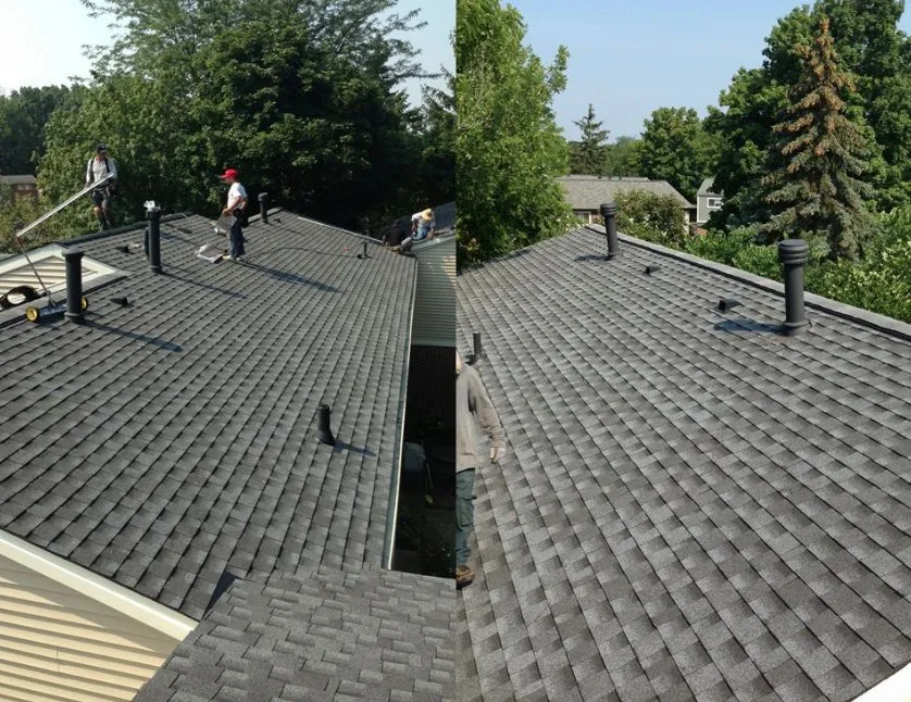 Slide of Progressive Siding