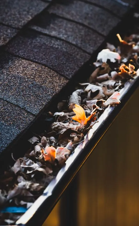 Slide of Prohome Detail