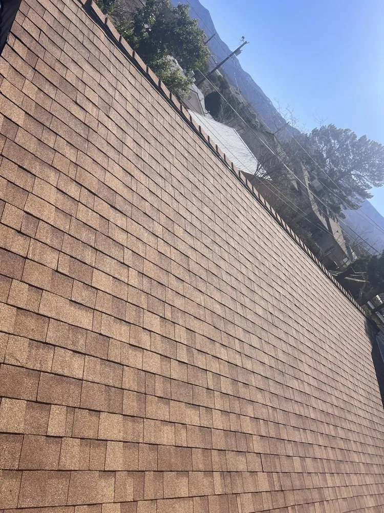 Slide of Project Revive