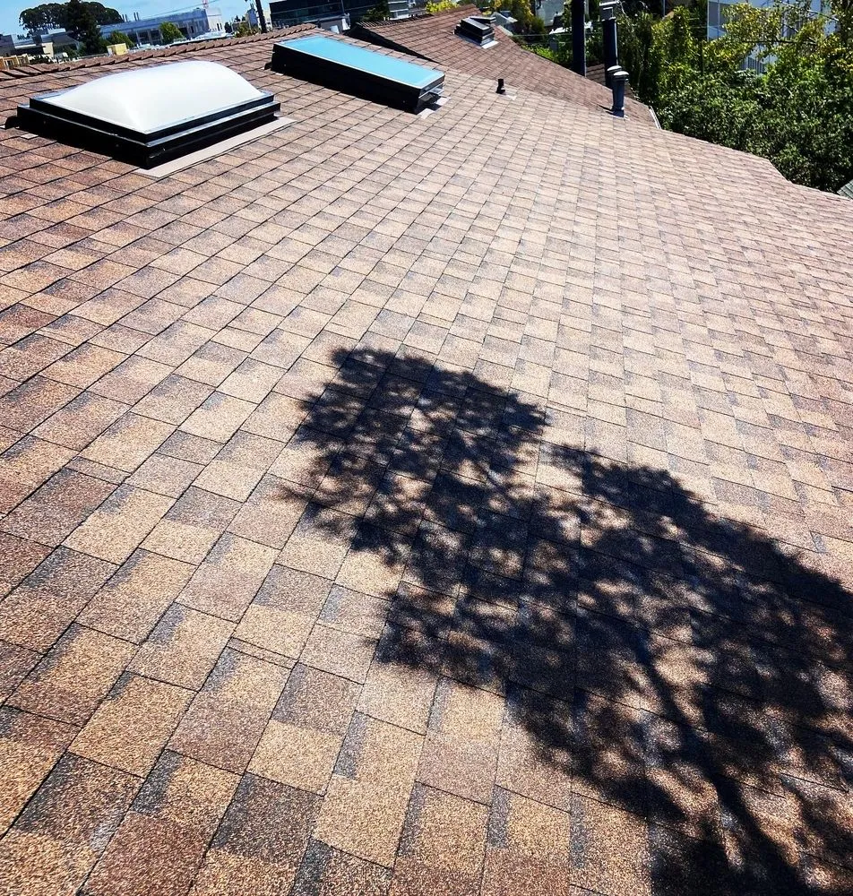 Slide of Project Roofing