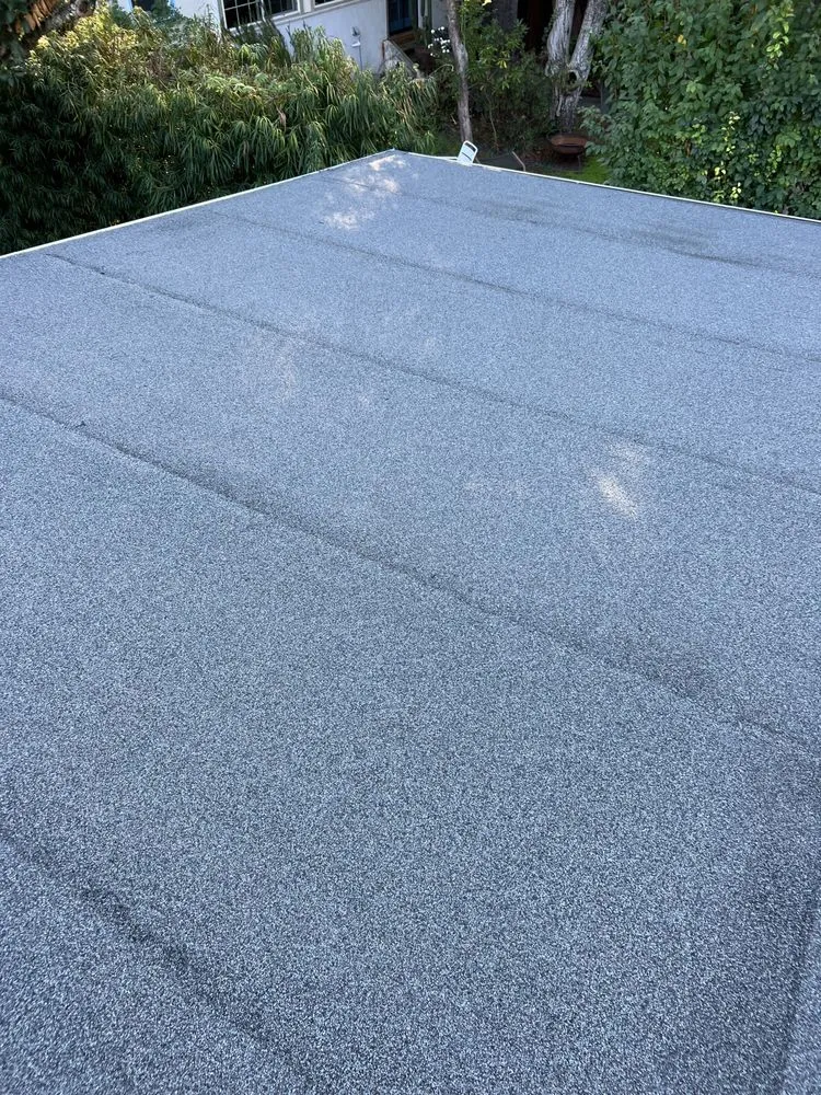 Slide of Project Roofing