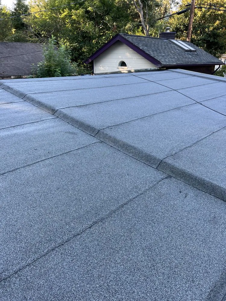 Slide of Project Roofing