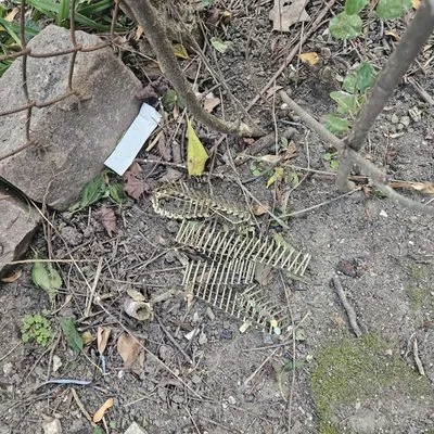 Proliance General Contractors