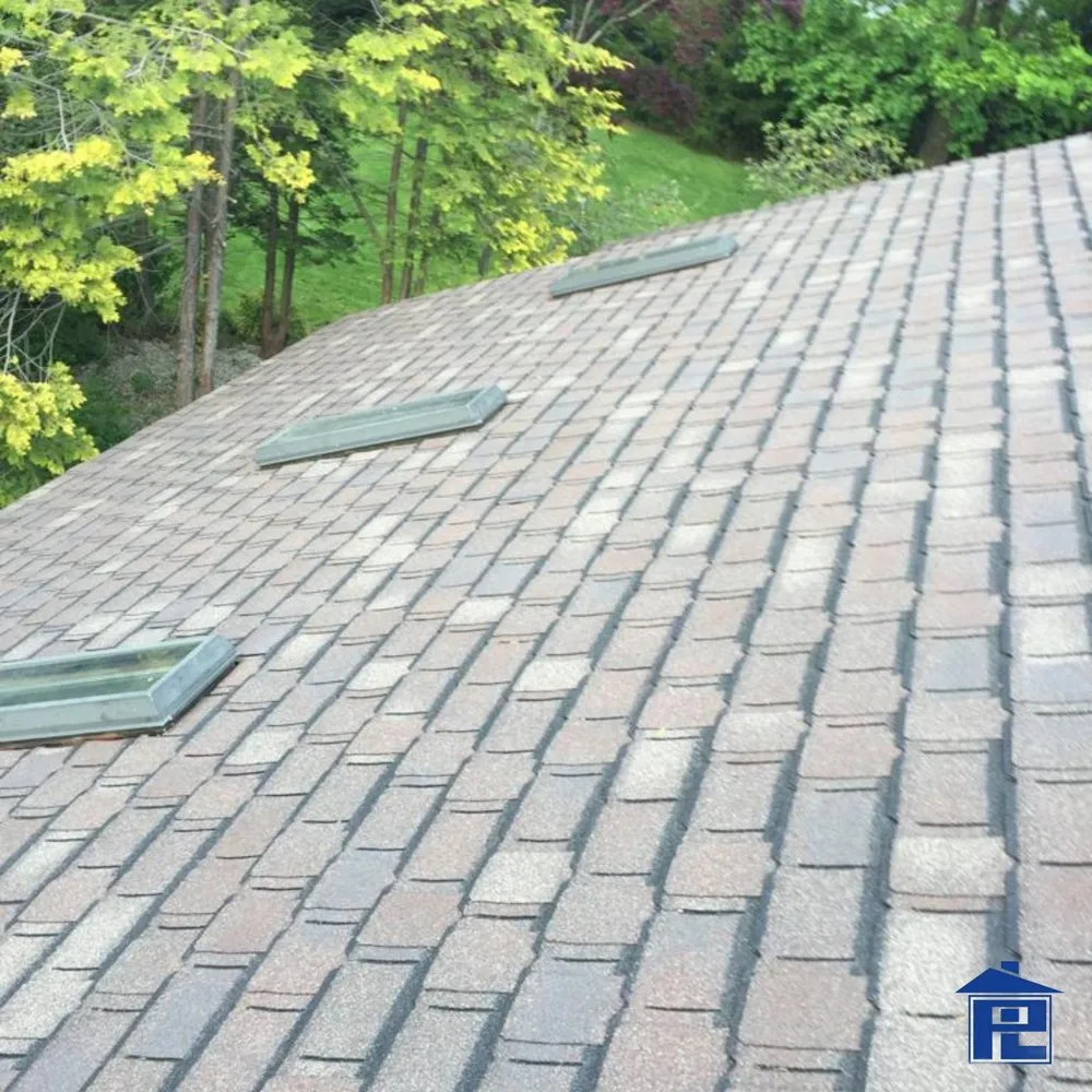 Slide of Proline Construction