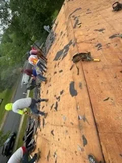 Slide of Proline Contracting